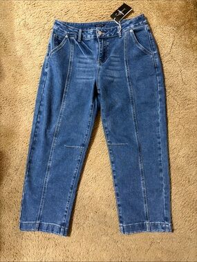 Flamingals Blue Front-Seam Jeans Size X Large New With Tags